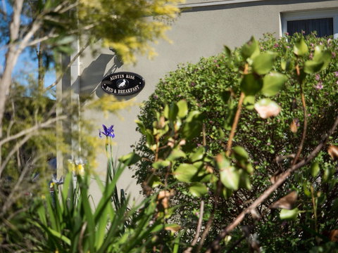 Austin Rise B&B - Accommodation Main Beach 1