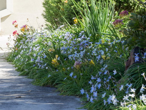 Austin Rise B&B - Accommodation Main Beach 2