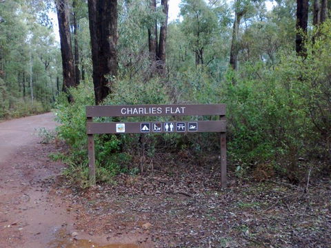 Charlies Flat Campground At Lane Poole Reserve - Accommodation Main Beach 0