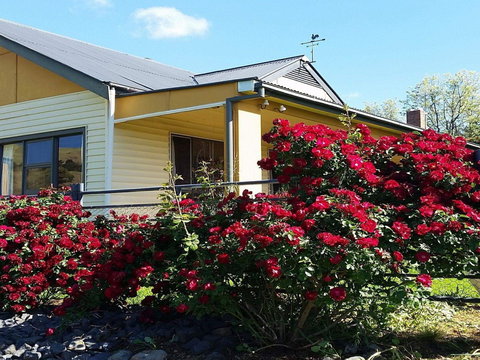Geralda Cottage Jugiong - Accommodation Main Beach 1