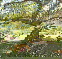 Nimbin Rox YHA - Accommodation Main Beach