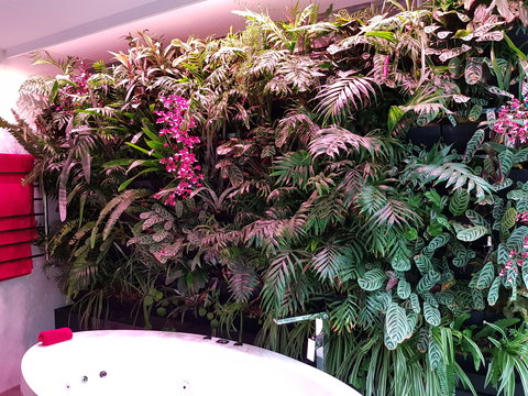 Ocean Blue B And B - Accommodation Main Beach 2