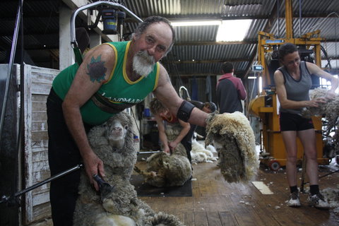 Rabbiters Hut - Accommodation Main Beach 5