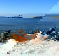 The Shackeau - Accommodation Main Beach