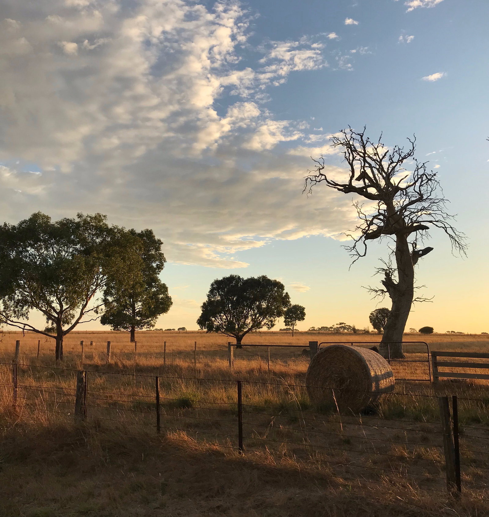 Stonehaven VIC Accommodation Main Beach