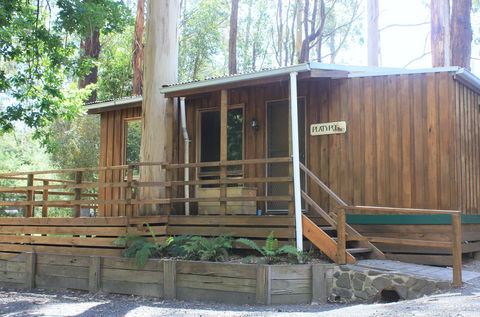 Tarra Valley Caravan Park - Accommodation Main Beach 1