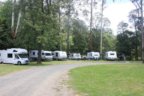 Tarra Valley Caravan Park - Accommodation Main Beach 2
