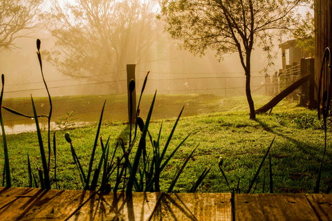 Tobruk Sydney Farm Stay - Accommodation Main Beach 1
