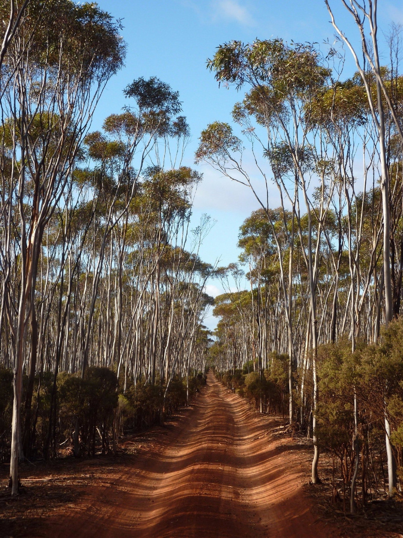Victoria Rock WA Accommodation Main Beach