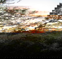 Annie's Place Bed and Breakfast - Accommodation Main Beach