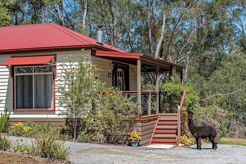 Araluen Park Cottages - Accommodation Main Beach 0