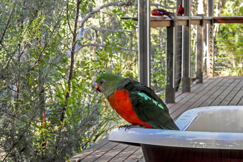 Araluen Park Cottages - Accommodation Main Beach 2