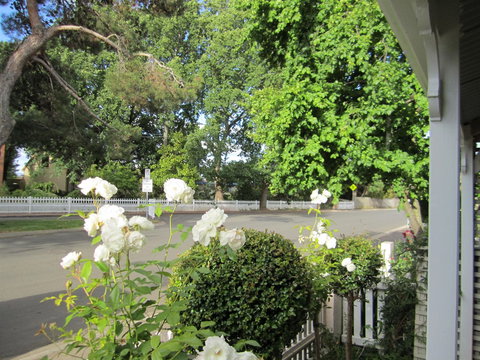 Arendon Cottage - Accommodation Main Beach 1