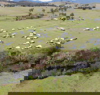 Camp on Allyn - Accommodation Main Beach