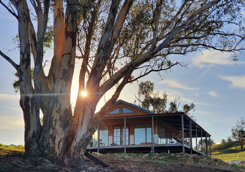 Kestrel Nest EcoHut - Accommodation Main Beach 0