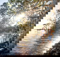 NRMA Myall Shores Holiday Park - Accommodation Main Beach