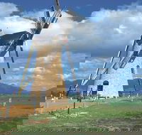 The Lily Stirling Range