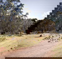 The Pines campground - Accommodation Main Beach