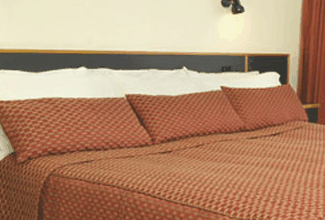 Margarets Forest Holiday Apartments - Accommodation Main Beach