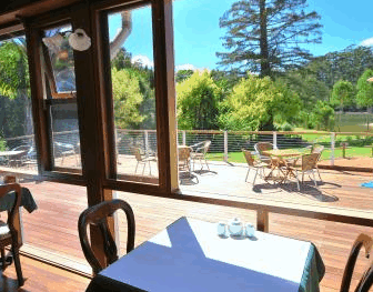 Forest Lodge Resort - Accommodation Main Beach 2