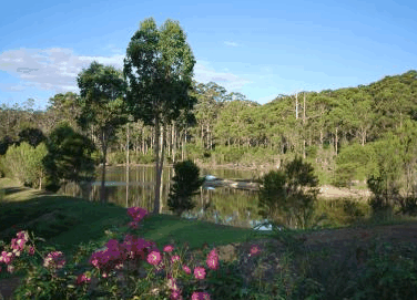Forest Lodge Resort - Accommodation Main Beach 3
