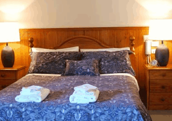 Forest Lodge Resort - Accommodation Main Beach 4