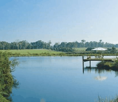 Forest Rise Eco Retreat - Accommodation Main Beach