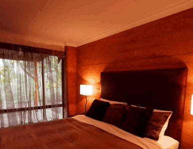 Forest Rise Eco Retreat - Accommodation Main Beach 1