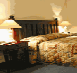 Comfort Inn Treetop Walk - Accommodation Main Beach