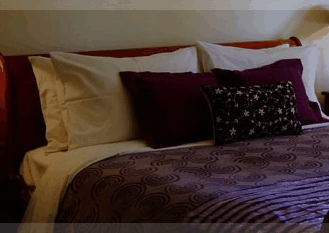 Erravilla Country Estate - Accommodation Main Beach 1