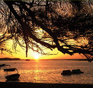 Pelican's Nest - Accommodation Main Beach