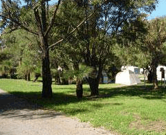 Rockingham Holiday Village - Accommodation Main Beach 4