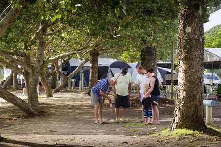 Massey Greene Holiday Park - Accommodation Main Beach 5