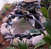 Equal Balance Bed and Breakfast - Accommodation Main Beach