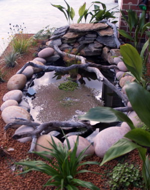 Equal Balance Bed And Breakfast - Accommodation Main Beach 0