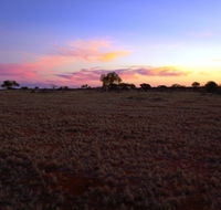 Wogarno Homestead - Accommodation Main Beach