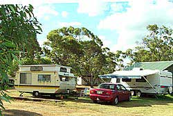 Ravensthorpe Caravan Park - Accommodation Main Beach 2