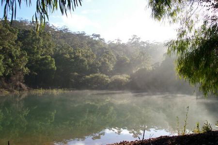 Karri Valley Chalets - Accommodation Main Beach 2
