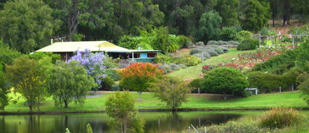 Pemberton Lavender And Berry Farm Cafe And Cottages - Accommodation Main Beach 0