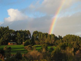 Pemberton Lavender And Berry Farm Cafe And Cottages - Accommodation Main Beach 3