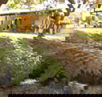 Peppermint House on 79 Tunbridge Street - Accommodation Main Beach