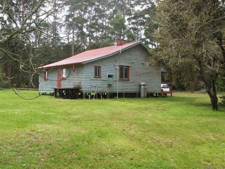 Pemberton Forest Stay - Accommodation Main Beach 5