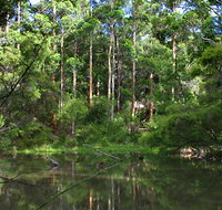 Peppermint Grove Retreat - Accommodation Main Beach