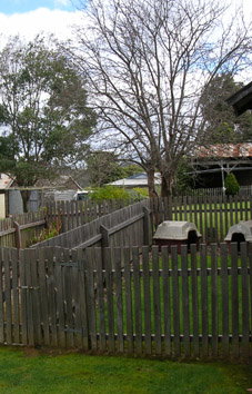 Helens House - Accommodation Main Beach 2