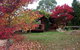 Eucalyptus House - thumb 0