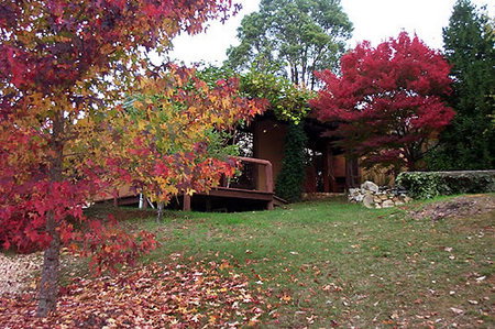 Eucalyptus House - Accommodation Main Beach 0