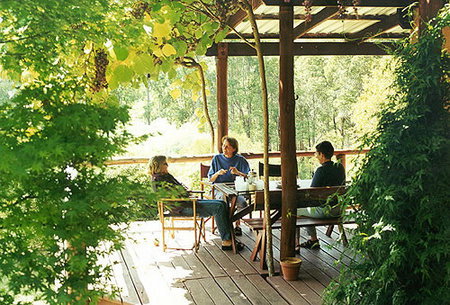 Eucalyptus House - Accommodation Main Beach 2