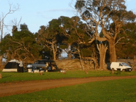 Ayr Sailean - Accommodation Main Beach 5