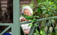 Pemberton Caravan Park - thumb 0