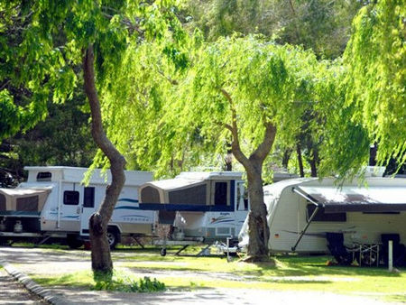 Pemberton Caravan Park - Accommodation Main Beach 2